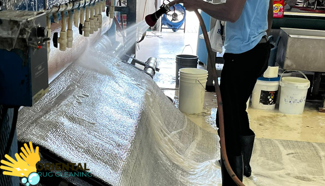 Expert Pet Odor Stain Removal