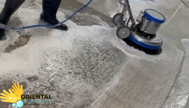 Pet Odor & Stain Removal Service