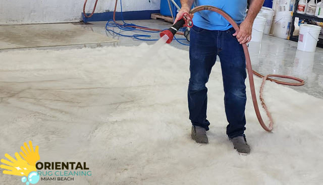 Pet Odor & Stain Removal