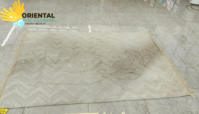 Professional Rug Cleaning