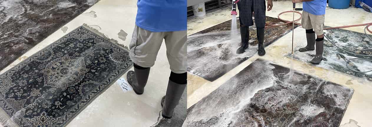 Rug Cleaning Services Homestead