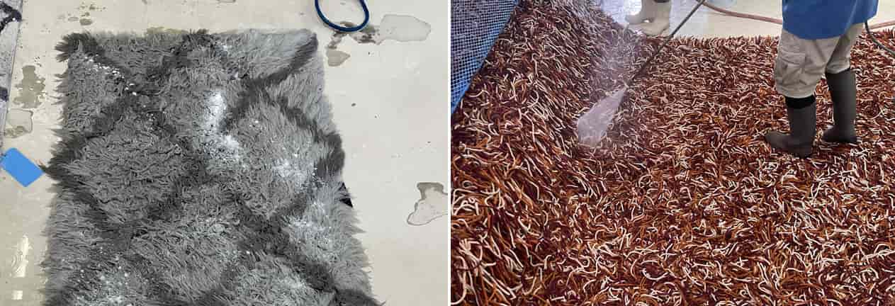 Rug Cleaning Services Hialeah